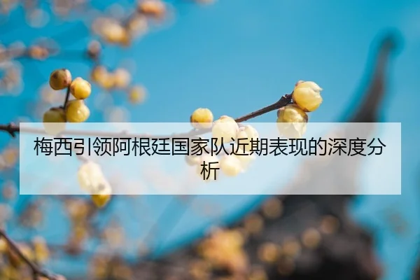 mei-xi-yin-ling-a-gen-ting-guo-jia-dui-jin-qi-biao-xian-de-shen-du-fen-xi-2-260.jpg