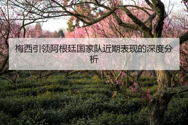 梅西引领阿根廷国家队近期表现的深度分析（6686app）