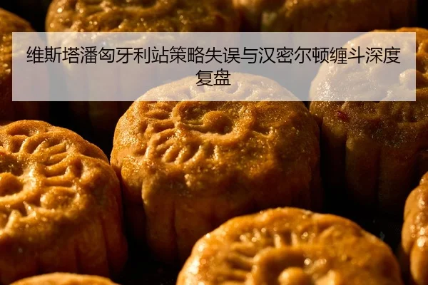 wei-si-ta-pan-xiong-ya-li-zhan-ce-lve-shi-wu-yu-han-mi-er-dun-chan-dou-shen-du-fu-pan-2-154.jpg