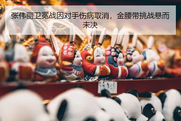 zhang-wei-li-wei-mian-zhan-yin-dui-shou-shang-bing-qu-xiao-jin-yao-dai-tiao-zhan-xuan-er-wei-jue-3-455.jpg