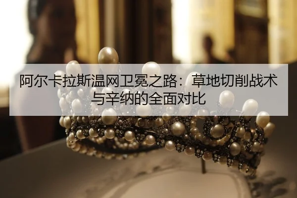 a-er-ka-la-si-wen-wang-wei-mian-zhi-lu-cao-di-qie-xiao-zhan-shu-yu-xin-na-de-quan-mian-dui-bi-2-963.jpg
