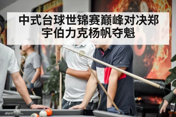中式台球世锦赛巅峰对决郑宇伯力克杨帆夺魁